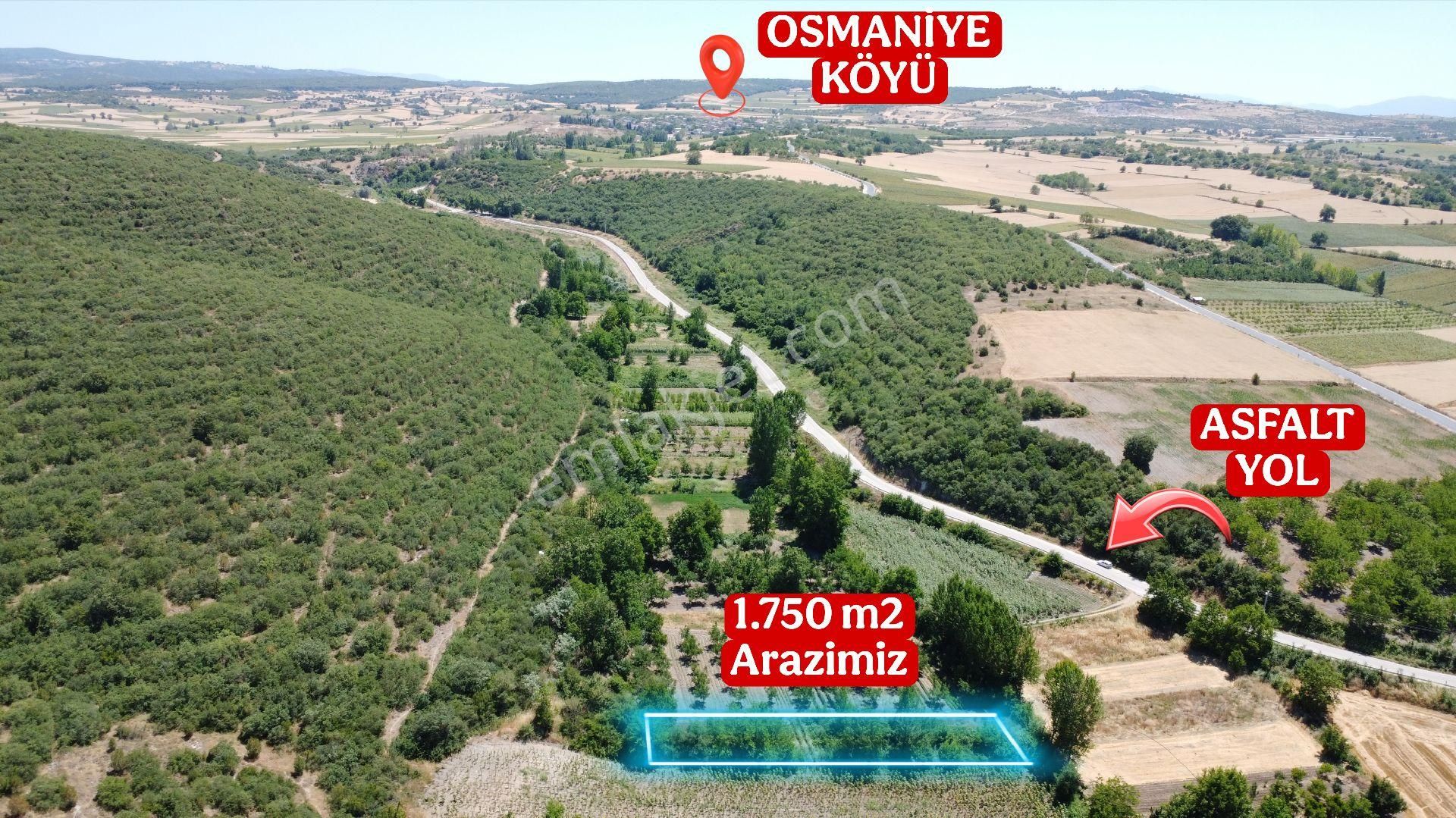 Bu Fıyata Başka Yok!!!bursa Yenişehir Osmaniye Köyünde Ulaşımı Kolay Satılık Hobi Bahç
