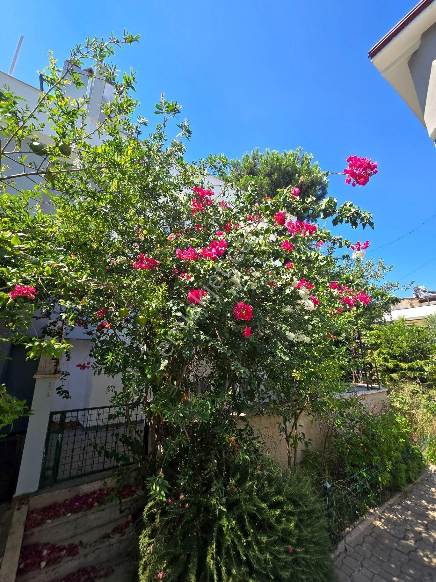 Marmaris Armutalan'da, Müstakil Bahçeli, Bitişik Nizam Villa