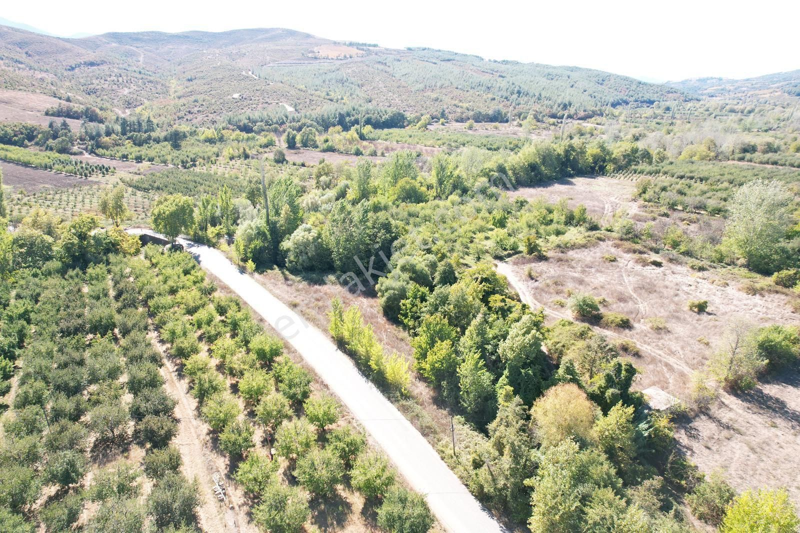 ‼️ Çanakkale Bayramiç Tongurlu Köyünde Yola Cephe Satılık Tarla ‼️‼️ - Görsel 2