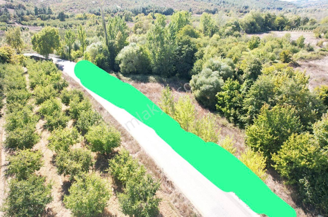 ‼️ Çanakkale Bayramiç Tongurlu Köyünde Yola Cephe Satılık Tarla ‼️‼️ - Görsel 7