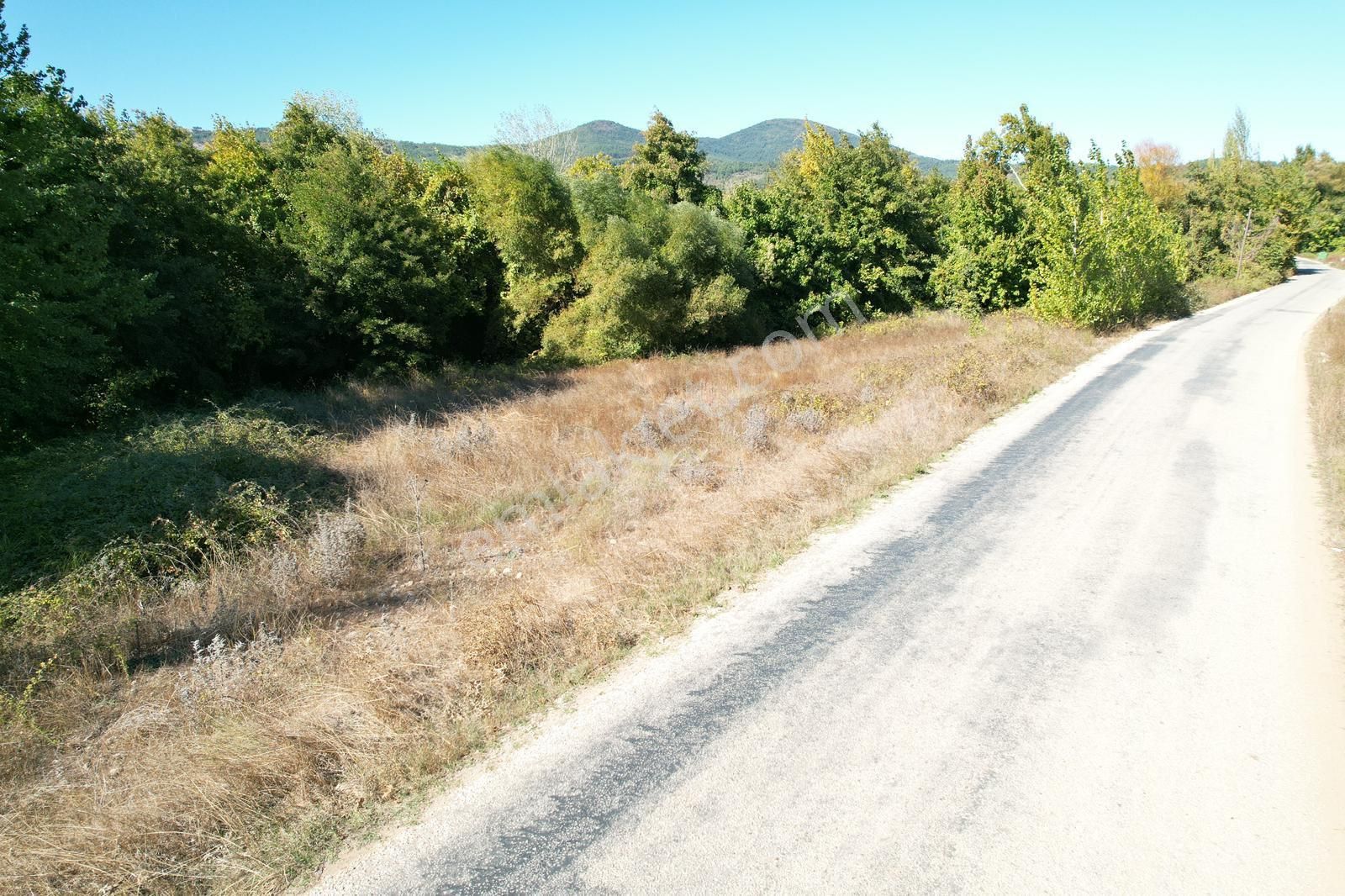 ‼️ Çanakkale Bayramiç Tongurlu Köyünde Yola Cephe Satılık Tarla ‼️‼️ - Görsel 5