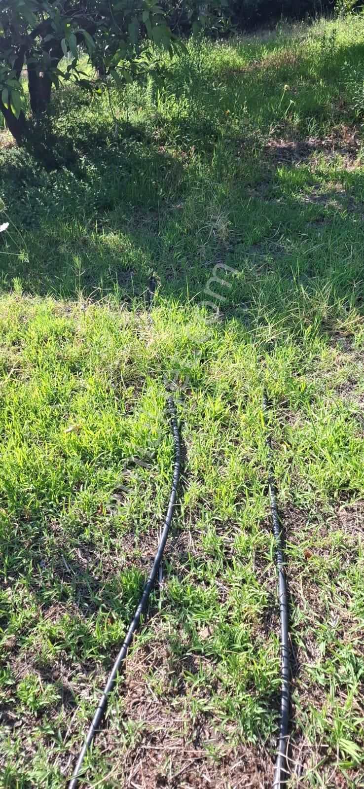 Satılık Deniz Gören Tarla - Görsel 18