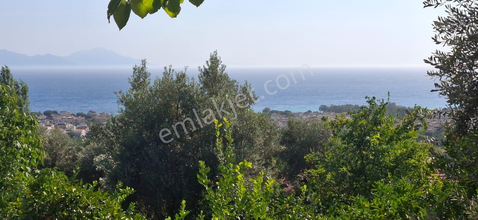 Satılık Deniz Gören Tarla - Görsel 11