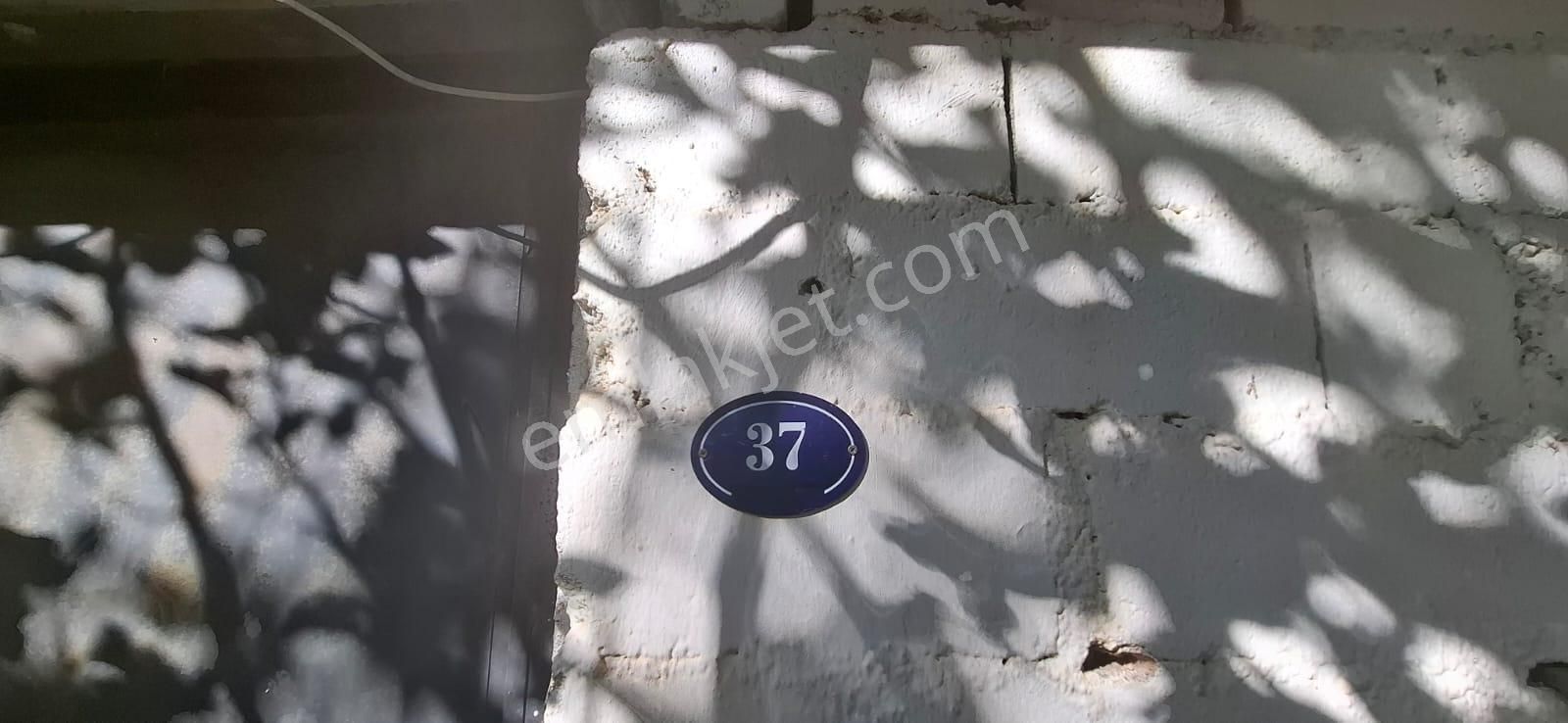 Satılık Deniz Gören Tarla - Görsel 6