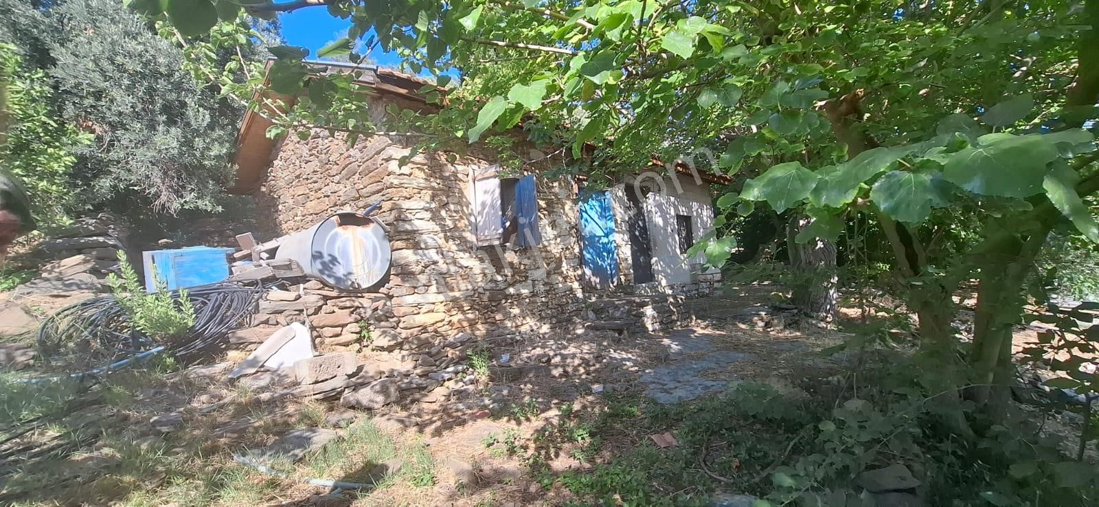 Satılık Deniz Gören Tarla - Görsel 13