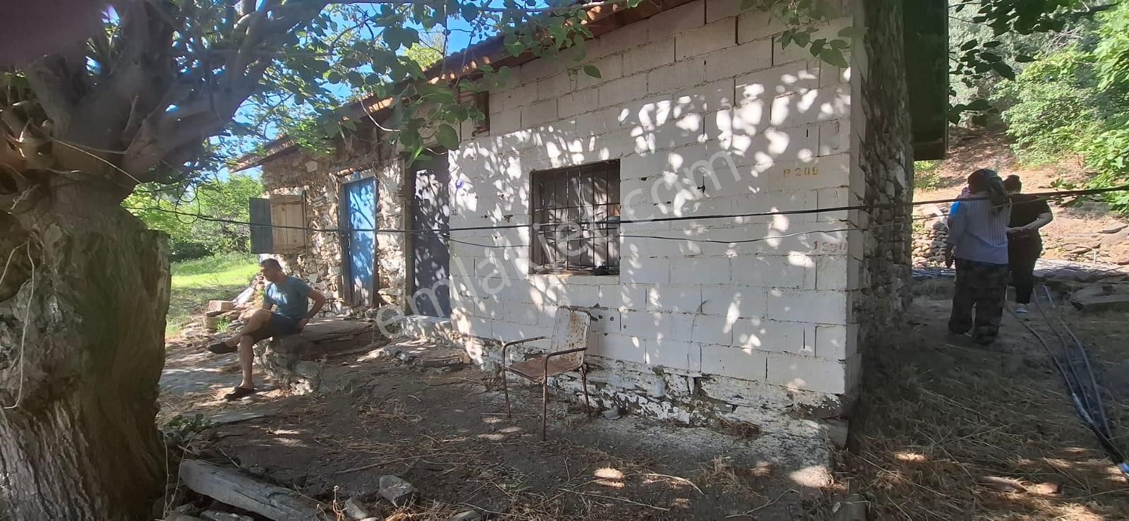 Satılık Deniz Gören Tarla - Görsel 9