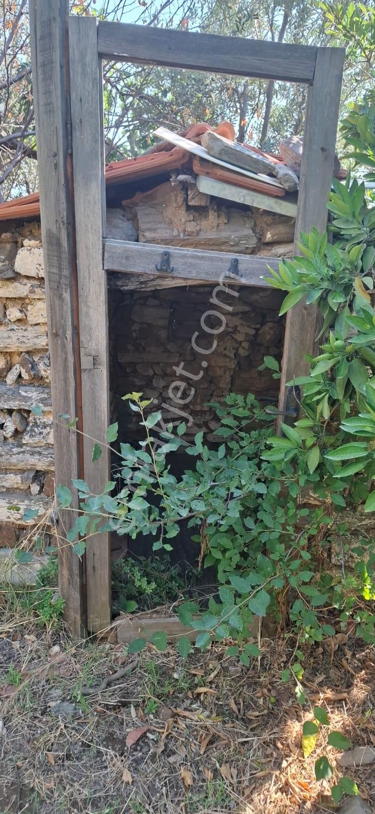 Satılık Deniz Gören Tarla - Görsel 14