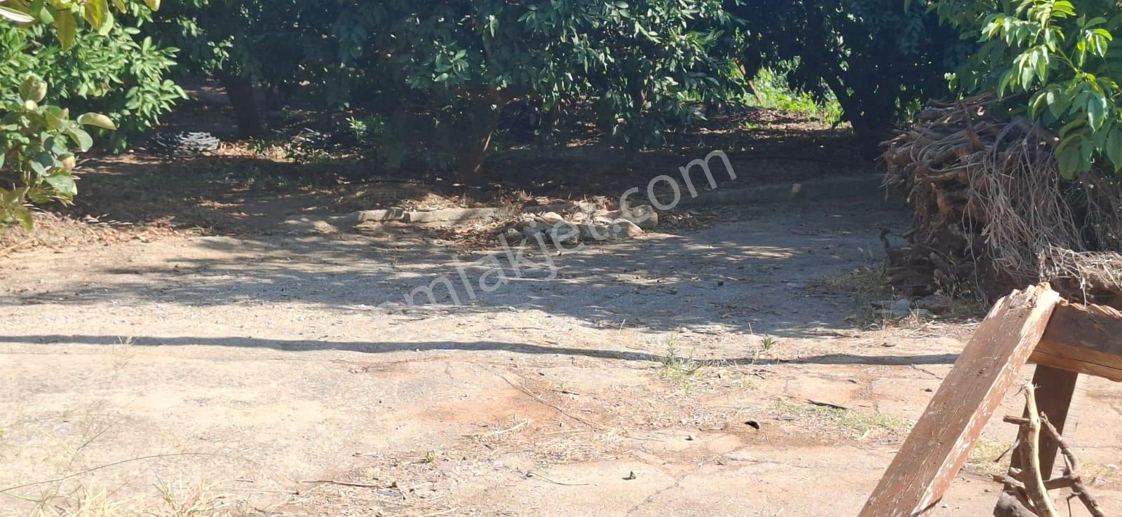 Satılık Deniz Gören Tarla - Görsel 12