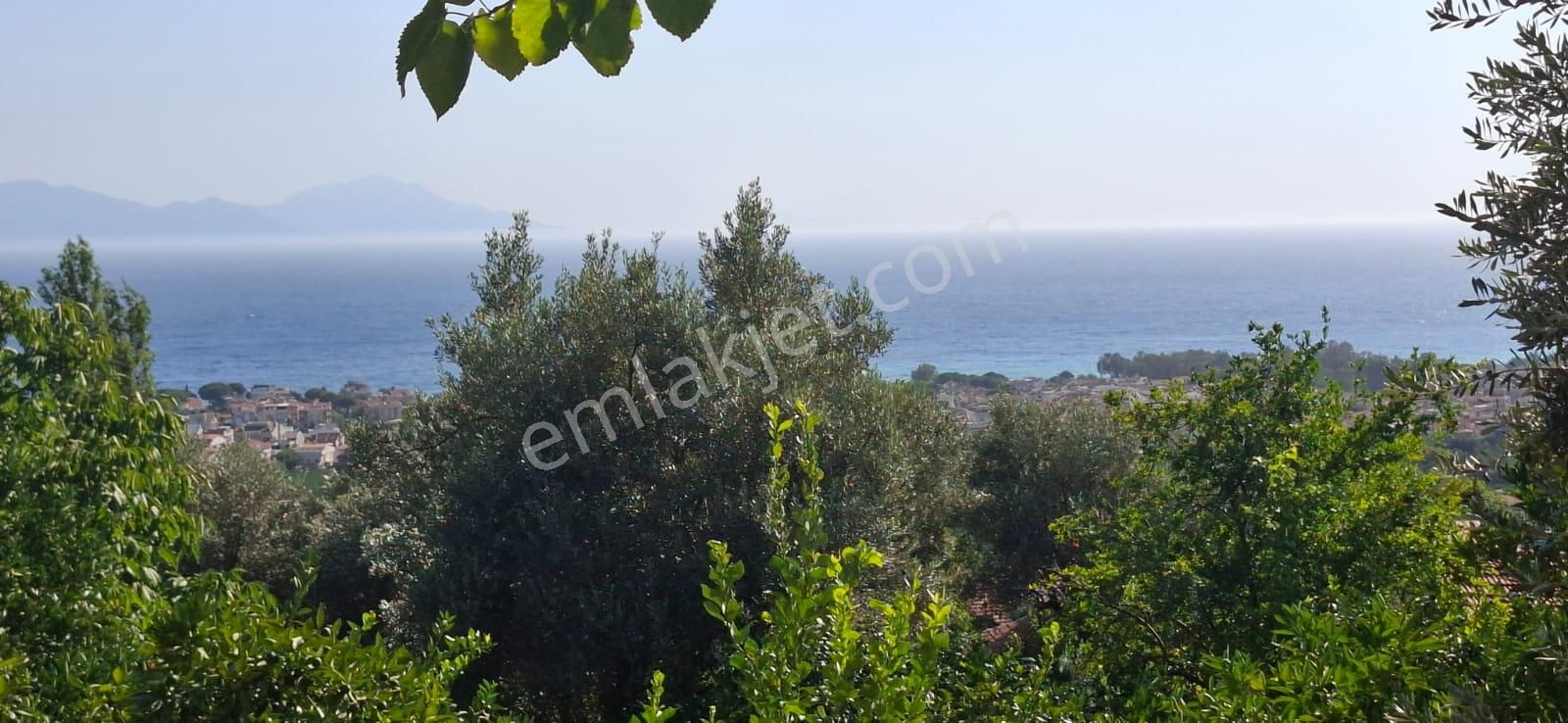 Satılık Deniz Gören Tarla - Görsel 15