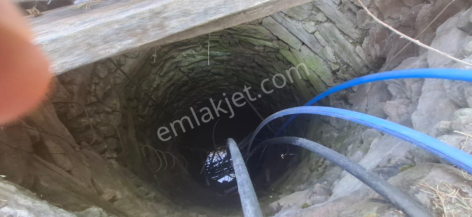 Satılık Deniz Gören Tarla - Görsel 8