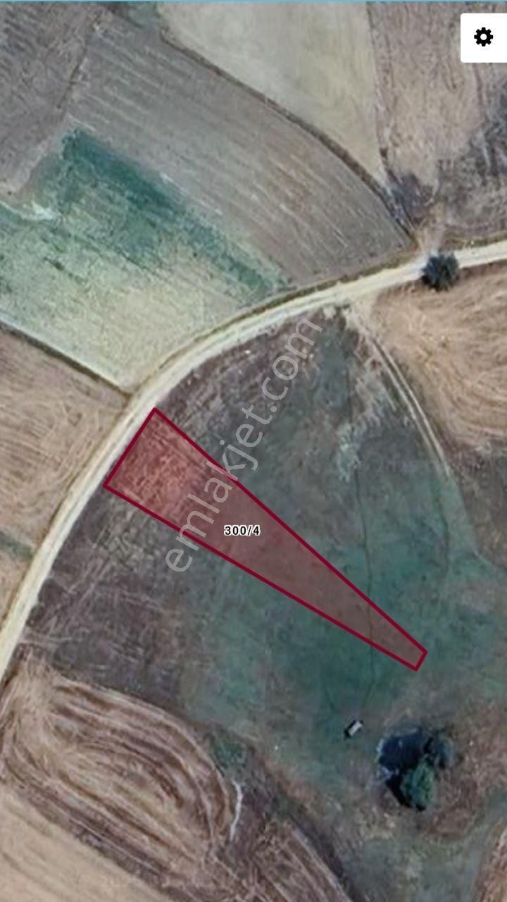Resmi Kadastro Yoluna Cephe Balıkesir Sındırgı Yüreğil Köyünde Lokasyonu Güzel Bahçe