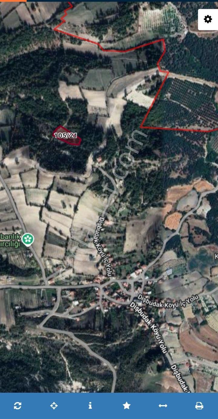 Balıkesir Altıeylül Dişbudak Köyünde 3.200 M2 Köy Merkezine Yakın Hobi Bahçesi