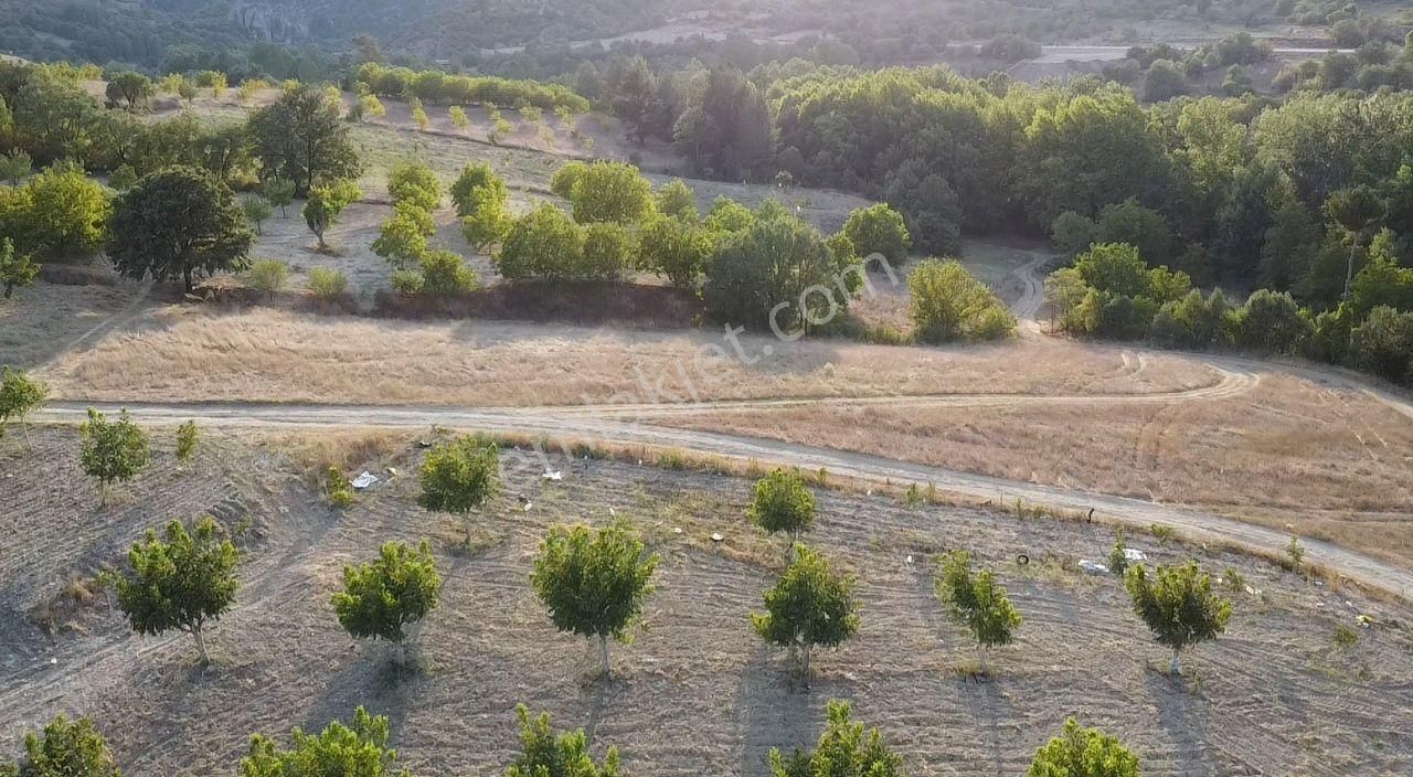 Şelale Gıbı Akan Dereninin Yanında!!! Bursa Keles Denizler Köyünde Ulaşımı Kolay 5.650 M2 Tarla
