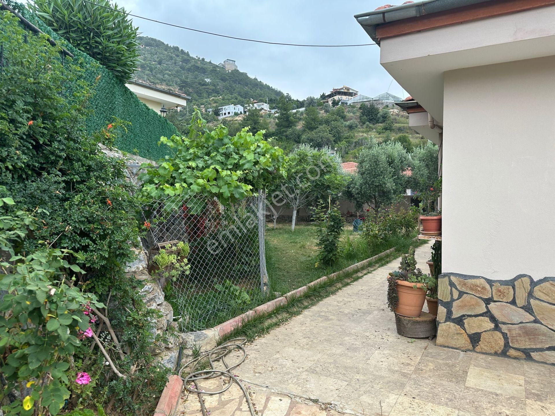 Sahibinden Alanya Oba'da Satılık Müstakil Havuzlu & Bahçeli Aidatsız Villa (vatandaşlığa Uygun) - Görsel 12