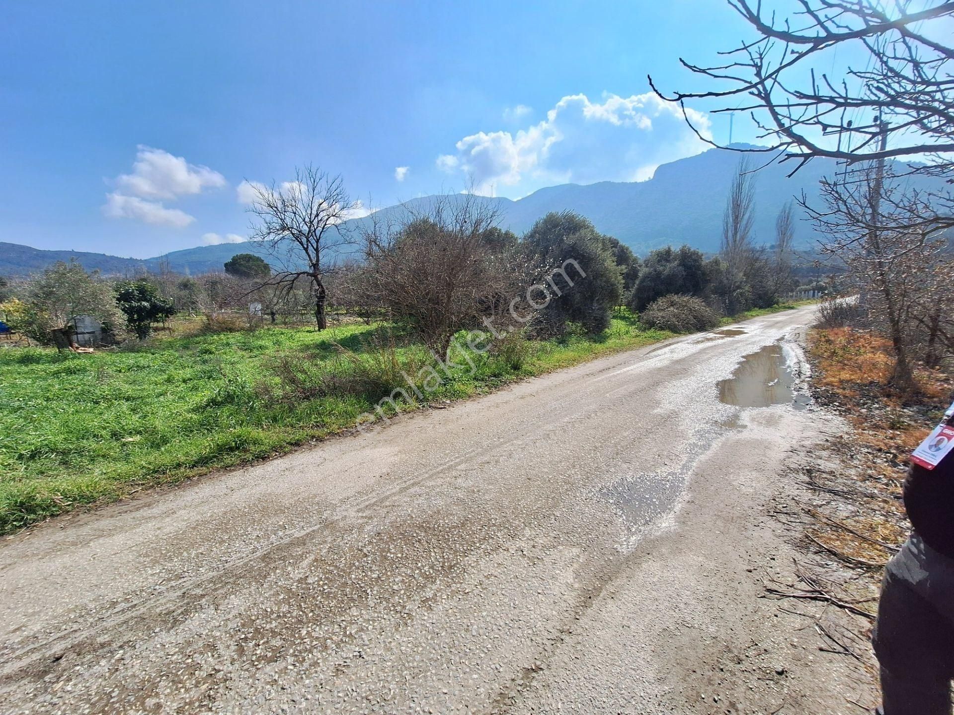 Selçuk Burgazda Kadastro Yola Cepheli Satılık Tarla - Görsel 4