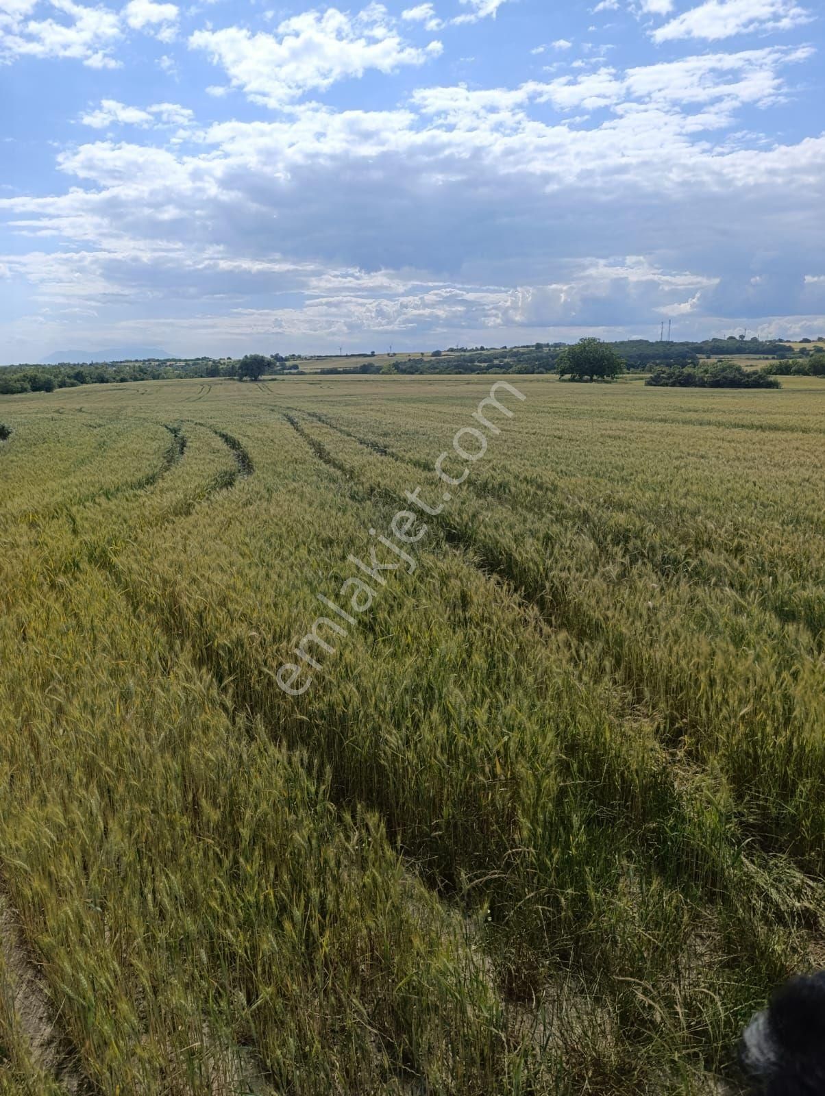 Enez Kocaali Köyü'nde 12.512 M² Yatırımlık Tarla!