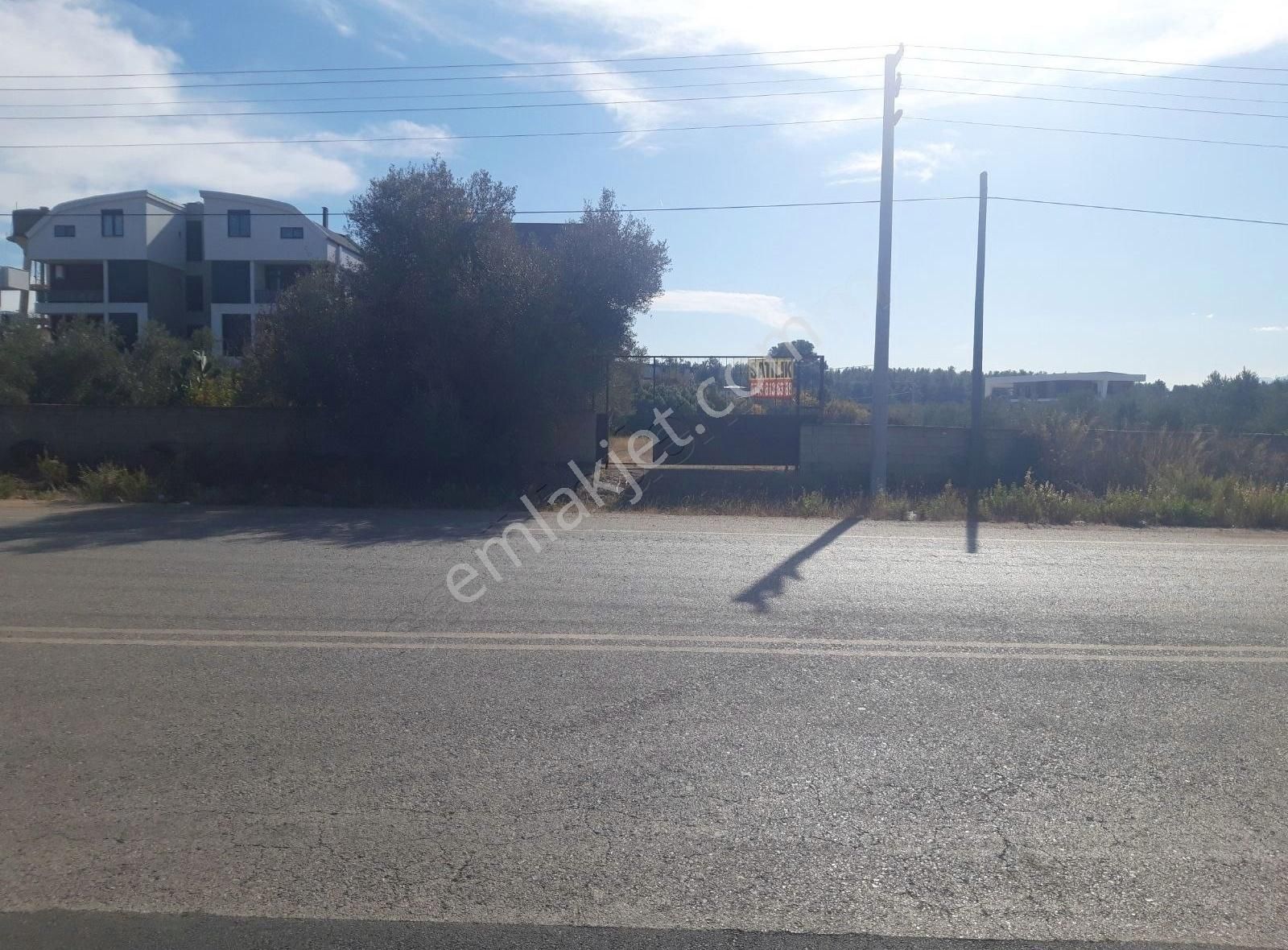 Yesılbayır Mah..1022m² Cadde Uzeri Dag Ve Orman Manzarali - Görsel 6