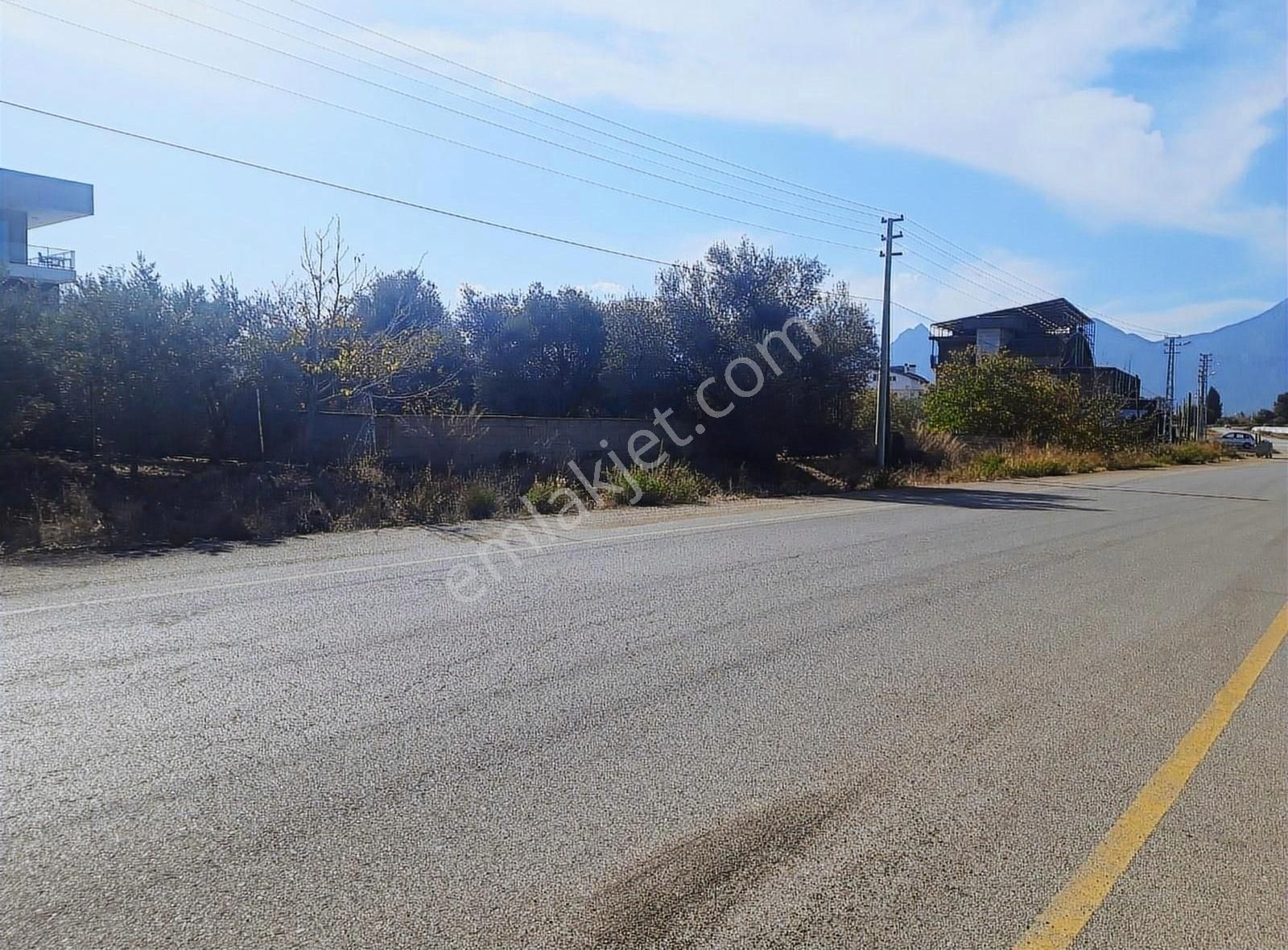Yesılbayır Mah..1022m² Cadde Uzeri Dag Ve Orman Manzarali - Görsel 9