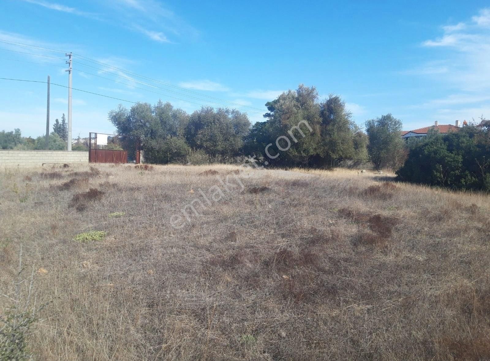 Yesılbayır Mah..1022m² Cadde Uzeri Dag Ve Orman Manzarali - Görsel 5