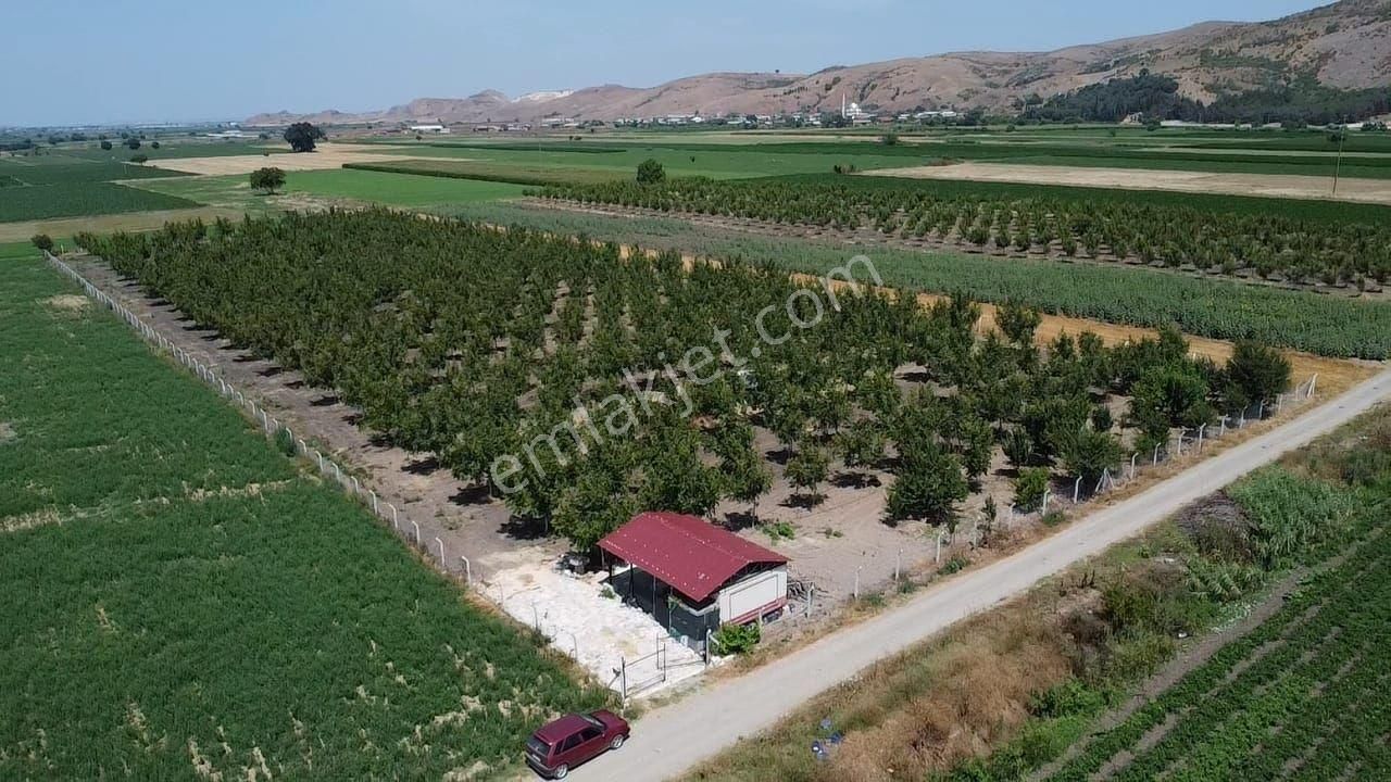Bursa M.k.paşa Güllüce Köyünde 12.804 M2 Ceviz Bahçesi