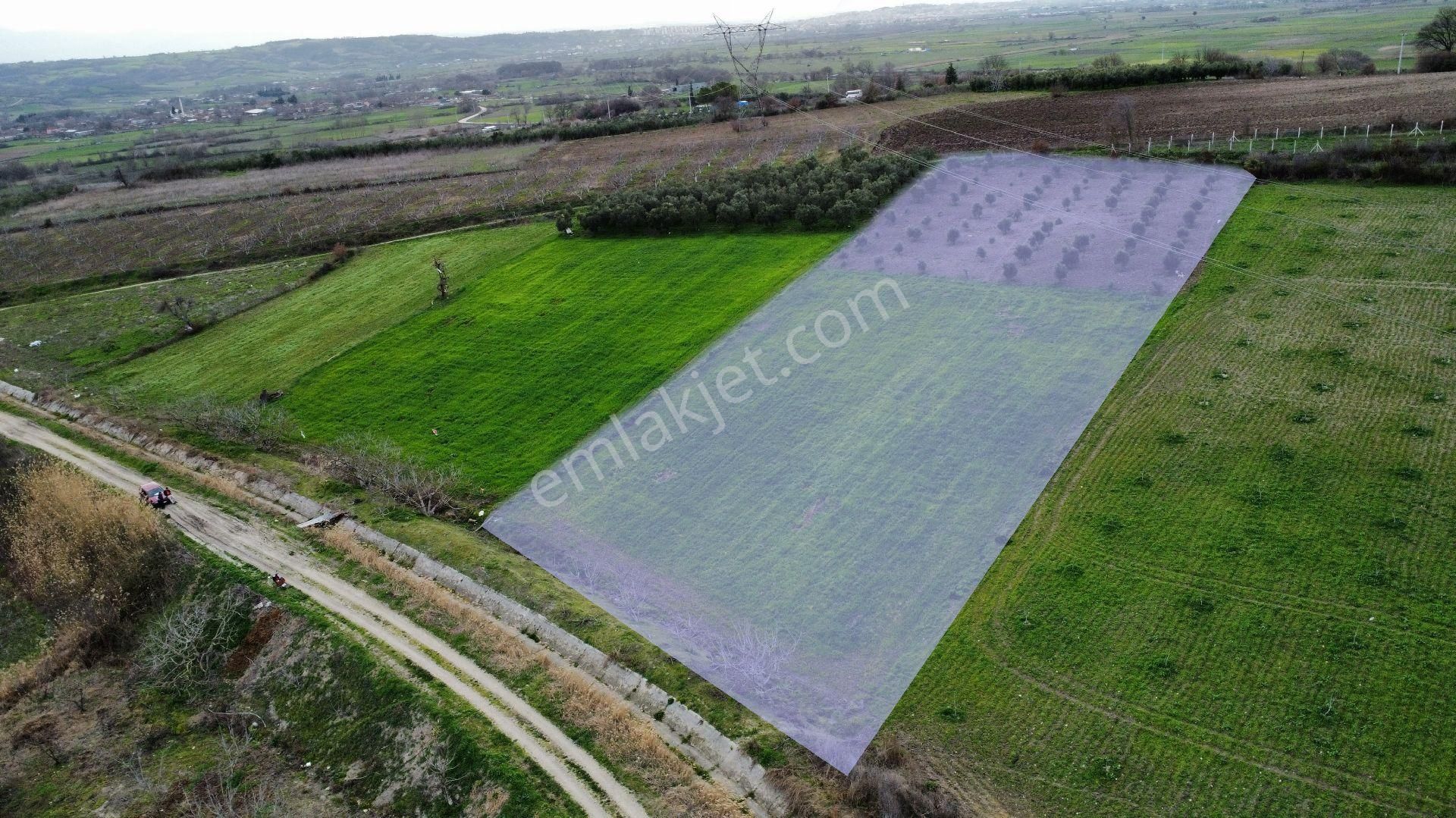 Bursa M.k.paşa Çördük Köyünde -5.341-m2 Kupon Yola Cephe Satılık Tarla