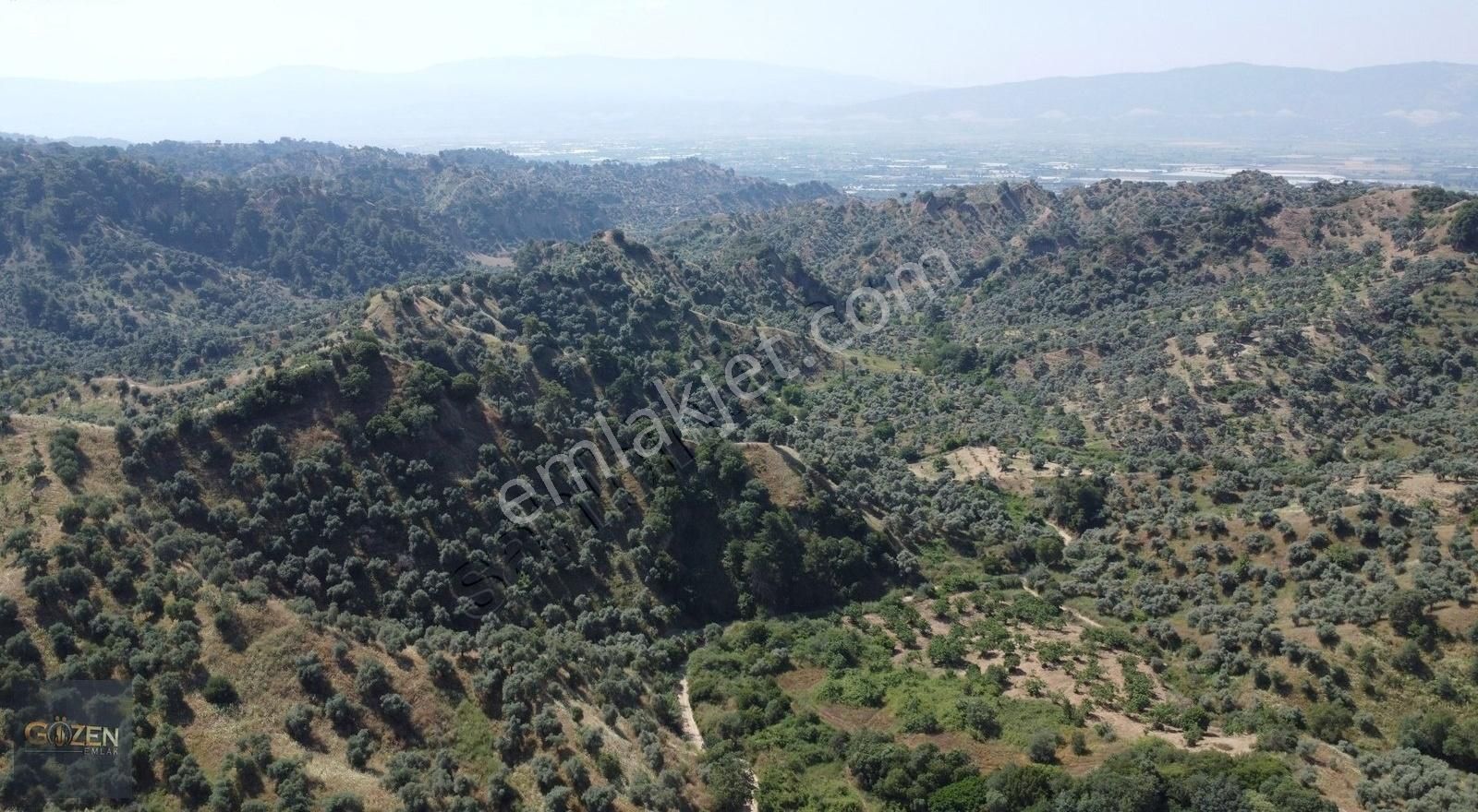 Gözen Emlak Güvencesiyle 2590 M2 Tek Tapu Zeytinliklik - Görsel 6