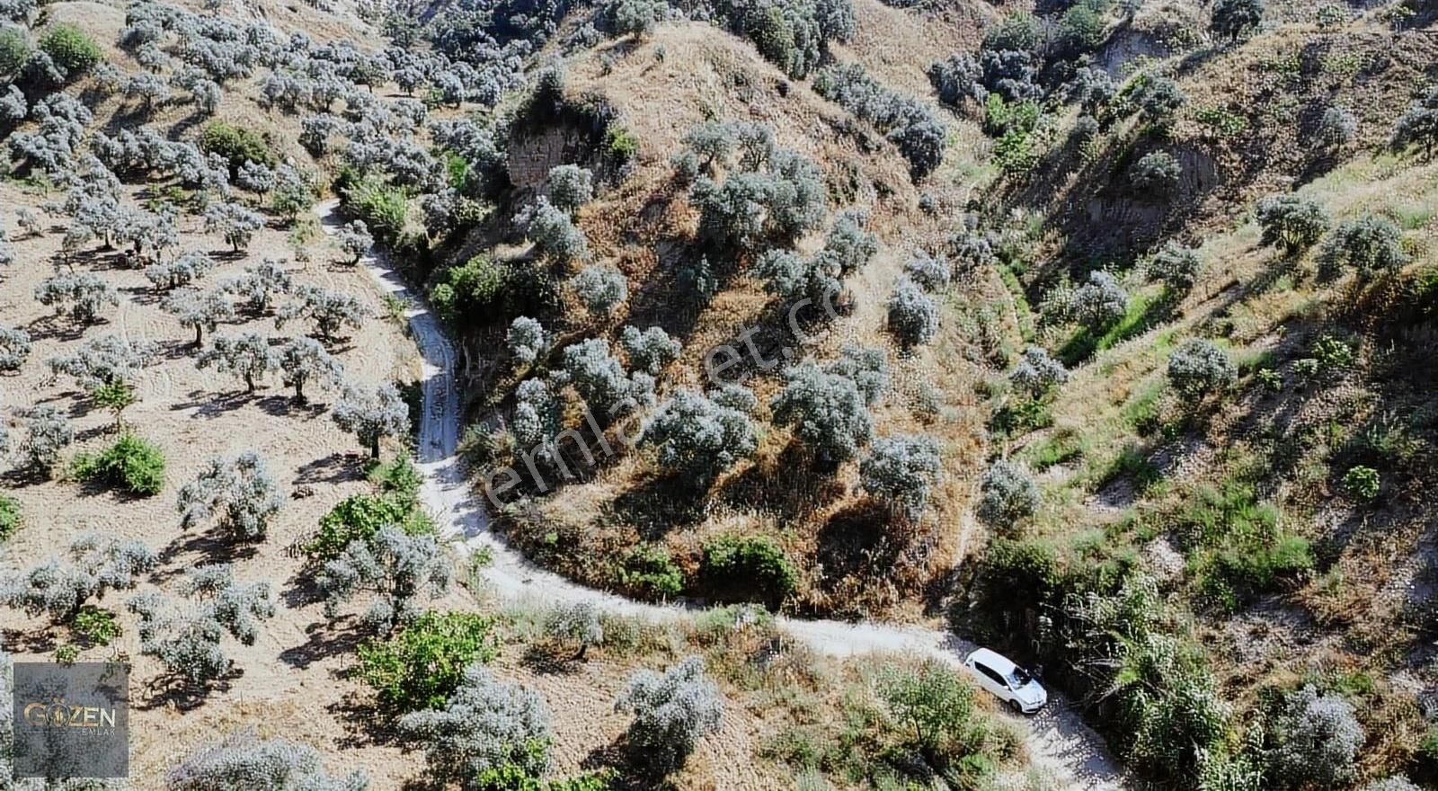 Gözen Emlak Güvencesiyle 2590 M2 Tek Tapu Zeytinliklik - Görsel 16