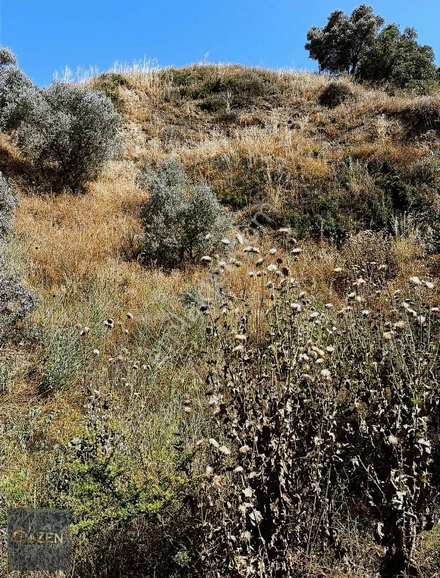 Gözen Emlak Güvencesiyle 2590 M2 Tek Tapu Zeytinliklik - Görsel 7