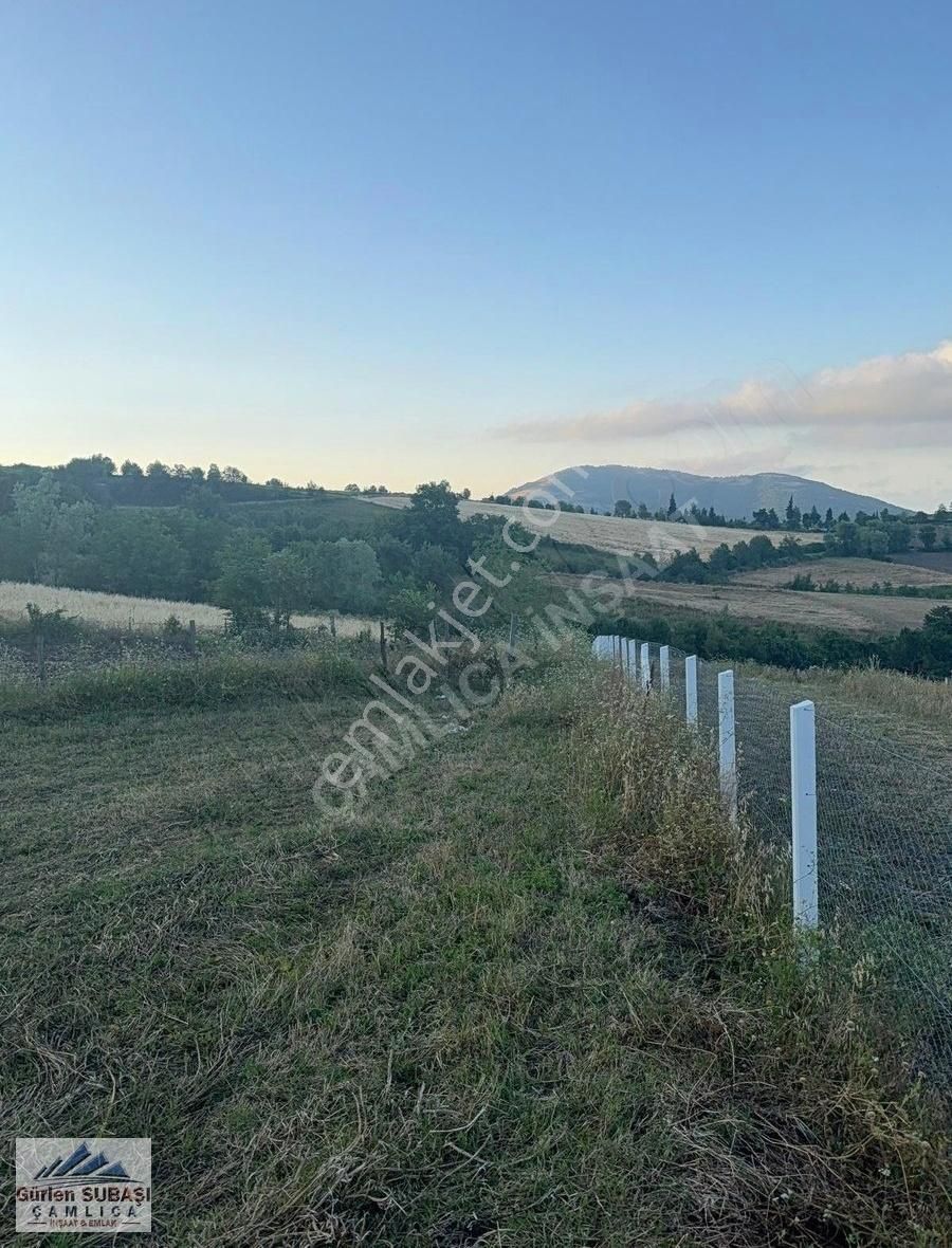 Çamlıcadan Meyvalı Satılık Yol Problemi Olmayan Deniz Manzaralı - Görsel 6