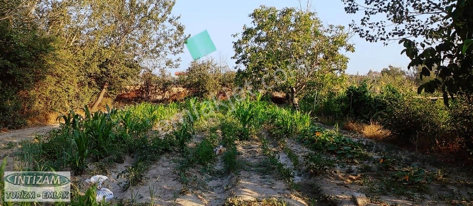 Hobi Bahçesi Yapılabilir 550.m² Bahçe