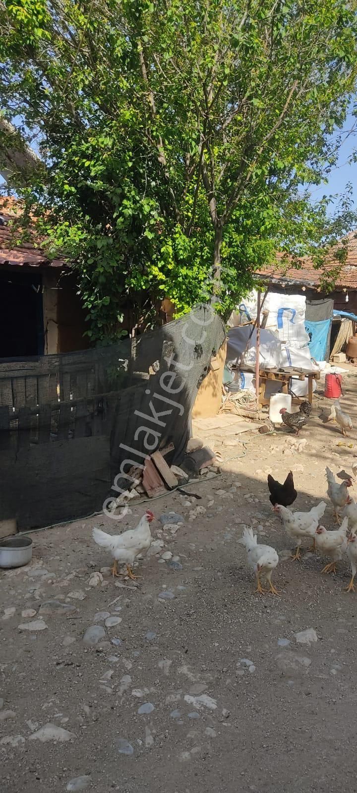Afyon Dazkırı Bozan Köyünde 2 Parsel Birleşik Arsa Satılık - Görsel 3