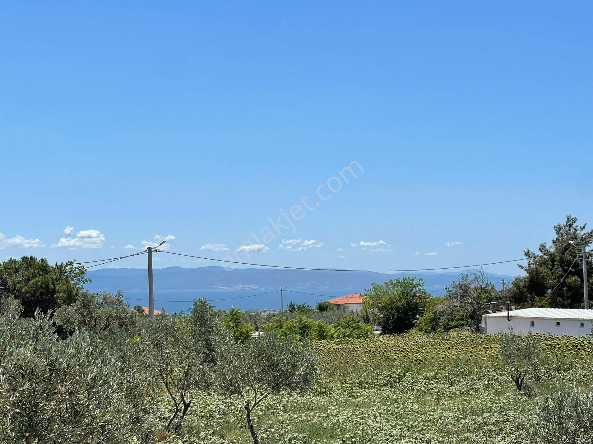 Kızılcaterzi Mah. İmarlı Arsa