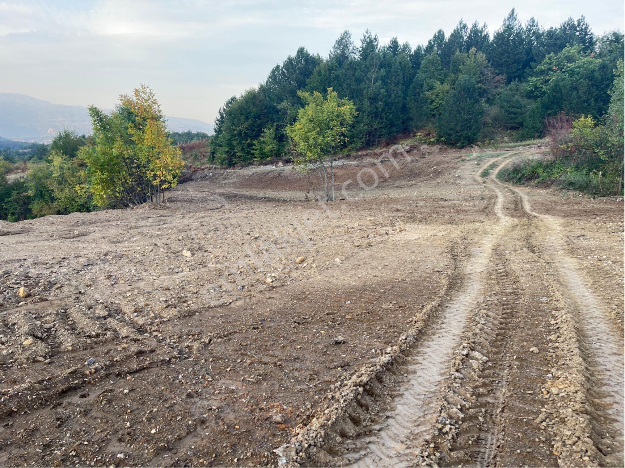 Sahibinden 5500m2 Satılık Tarla