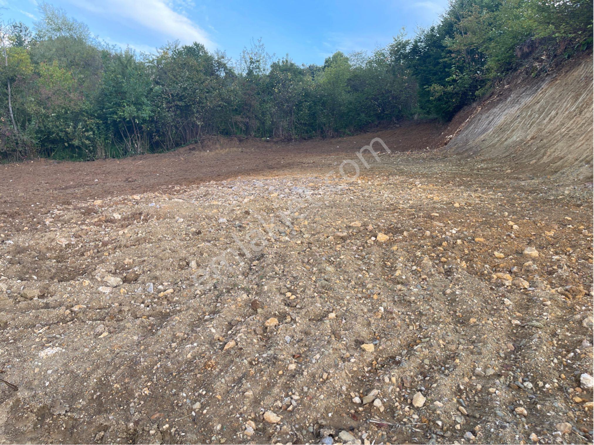 Sahibinden 5500m2 Satılık Tarla - Görsel 2