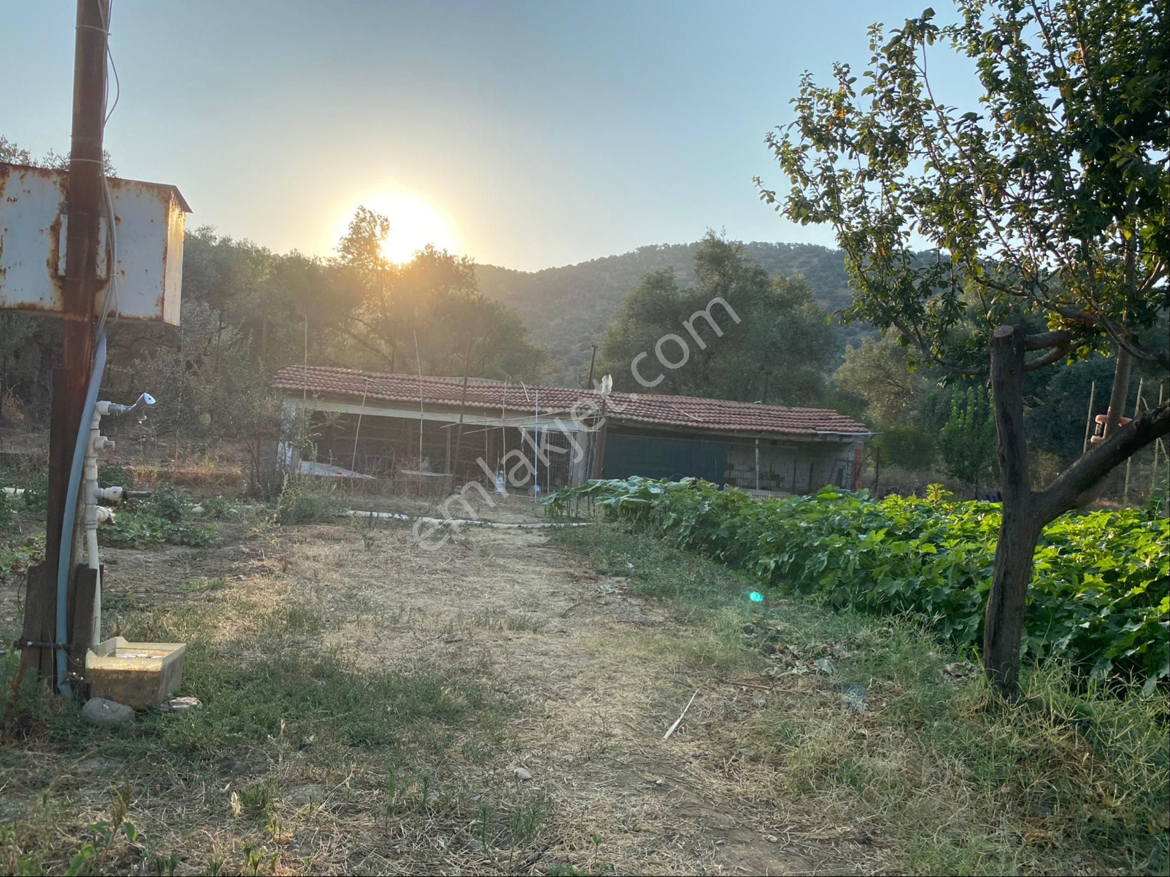 İzmir Bayındır Zeytinova Satlık Bahçe - Görsel 7