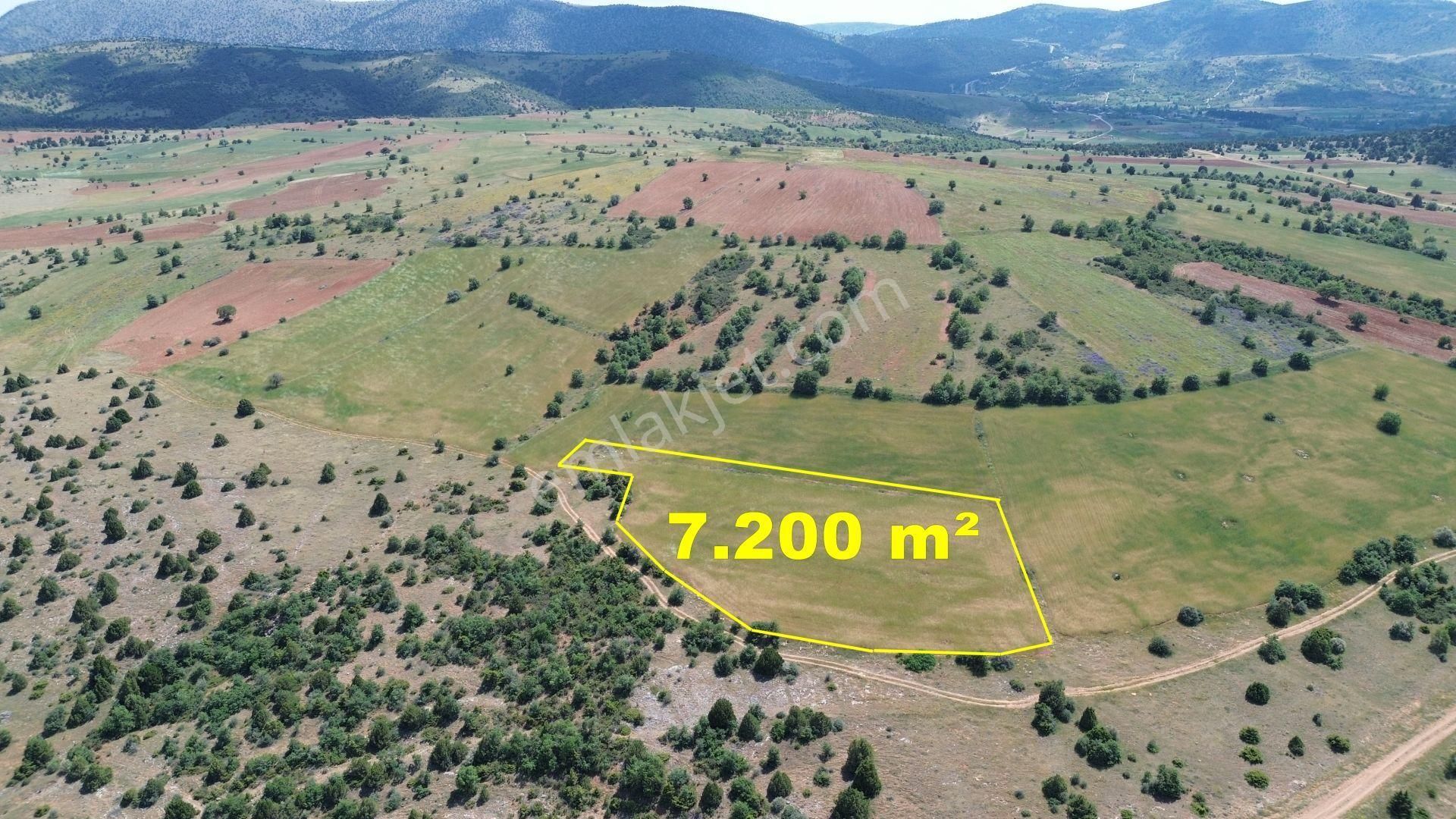 Konya / Ilgın / Mahmuthisar Mahallesinde 7.200 M² Müstakil Tapulu Tarla