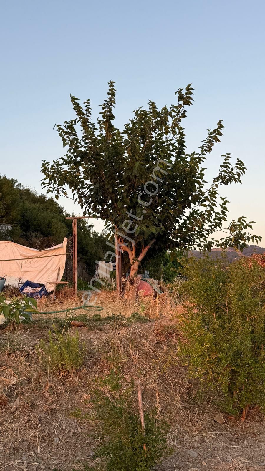 İzmir Kavacık Mahallesi Satılık Köy Evi Ve Kahvaltı Gözleme Yeri - Görsel 31
