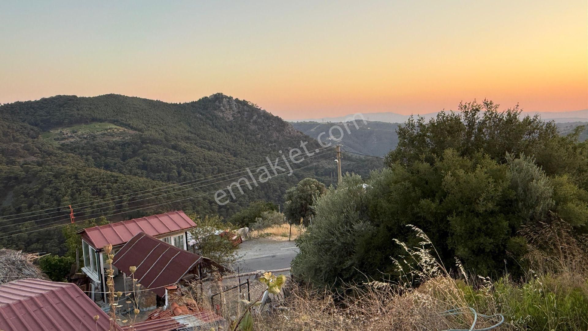 İzmir Kavacık Mahallesi Satılık Köy Evi Ve Kahvaltı Gözleme Yeri - Görsel 24