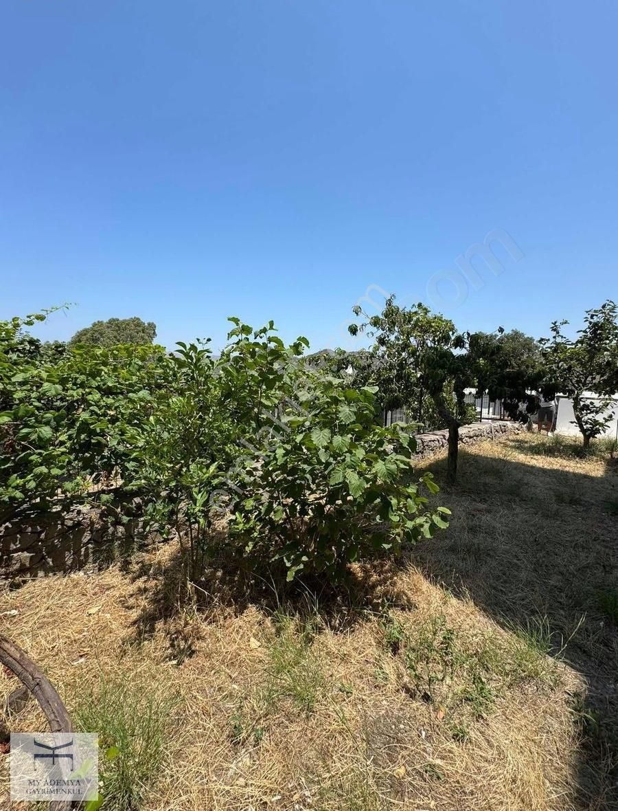Bodrum Akçaalan Mahalleside Satılık Geniş Lüks Daire