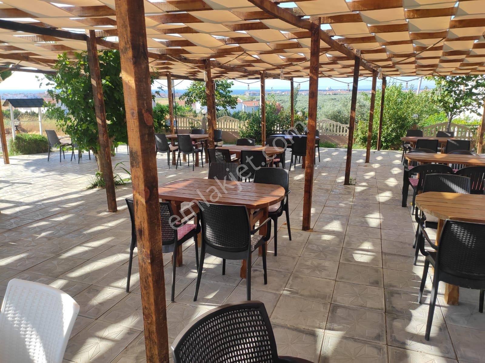 Şarköy De Işık Emlaktan İğdebağları Mah De 985 M2 0/20 İmarlı Arsa Ve Restorant - Görsel 6