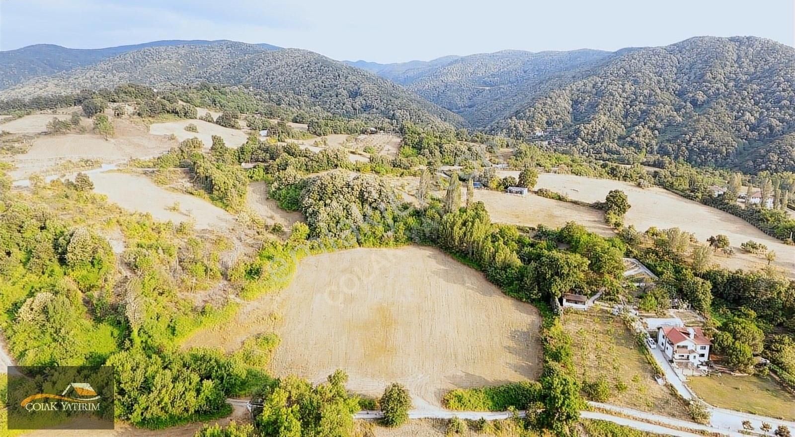 Yalova Merkez Elmalık'ta Satılık 15.282 M2 Muhteşem Tarla