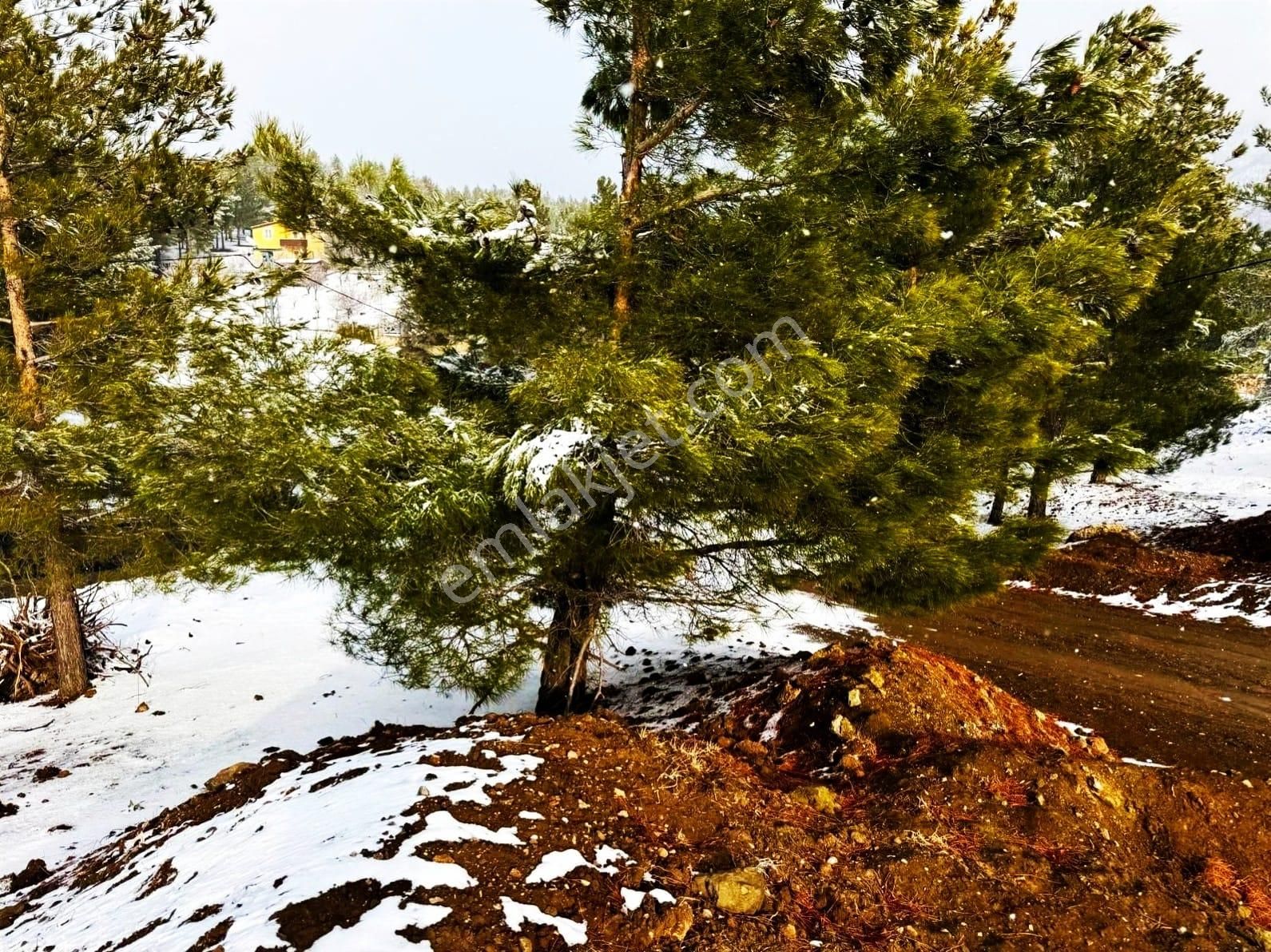 Pozantı Kar Emlaktan Alpu Yaylasında Yaylalık 470 M2 Satılık Arsa - Görsel 4