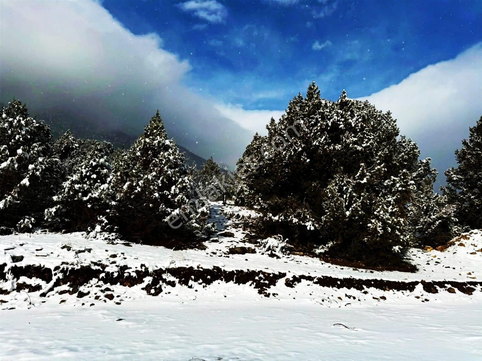 Pozantı Kar Emlaktan Alpu Yaylası Radar Yolunda Doğa Manzaralı İmralı İfrazlı 400 M2 Satılık Arsa - Görsel 10