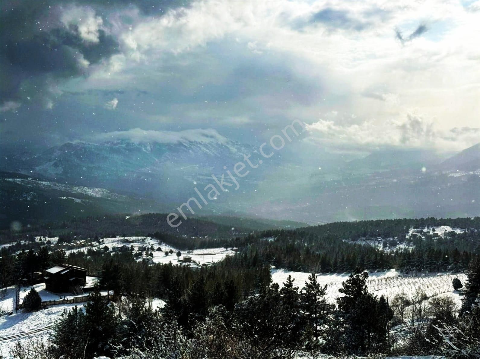 Pozantı Kar Emlaktan Alpu Yaylası Radar Yolunda Doğa Manzaralı İmralı İfrazlı 400 M2 Satılık Arsa - Görsel 9