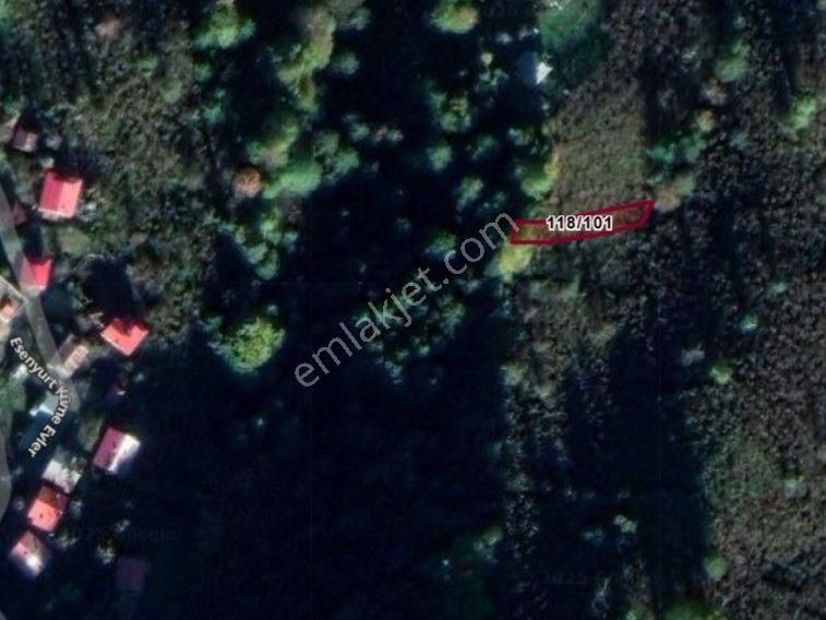 Giresun Görele Esenyurt Köyünde 319 M² Fındık Bahçesi Satılıktır.