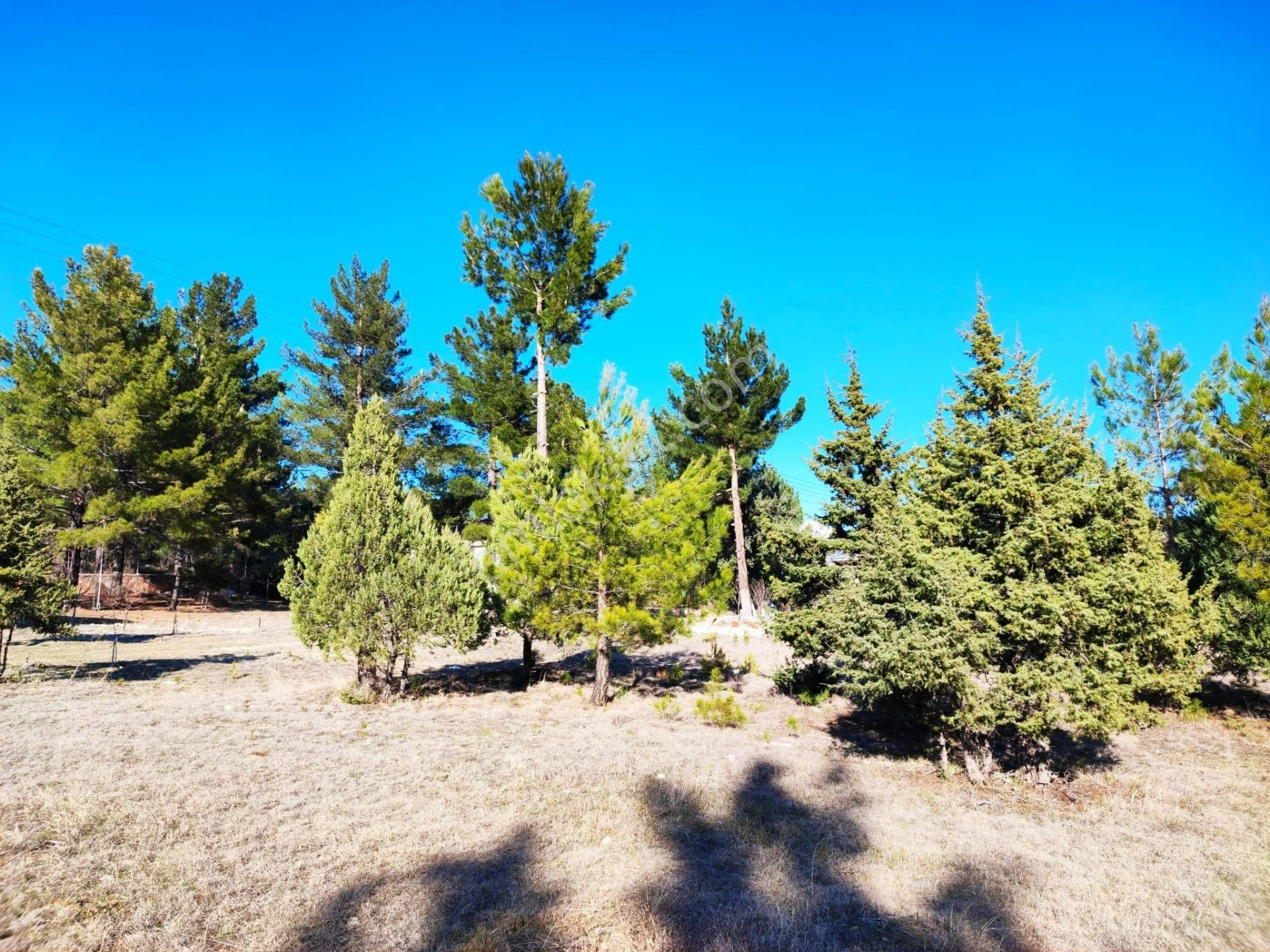 Pozantı Kar Emlaktan Akçatekir Alparslan Mevkiinde Doğa Manzaralı Satılık Yaylalık 375 M2 Arsa - Görsel 23
