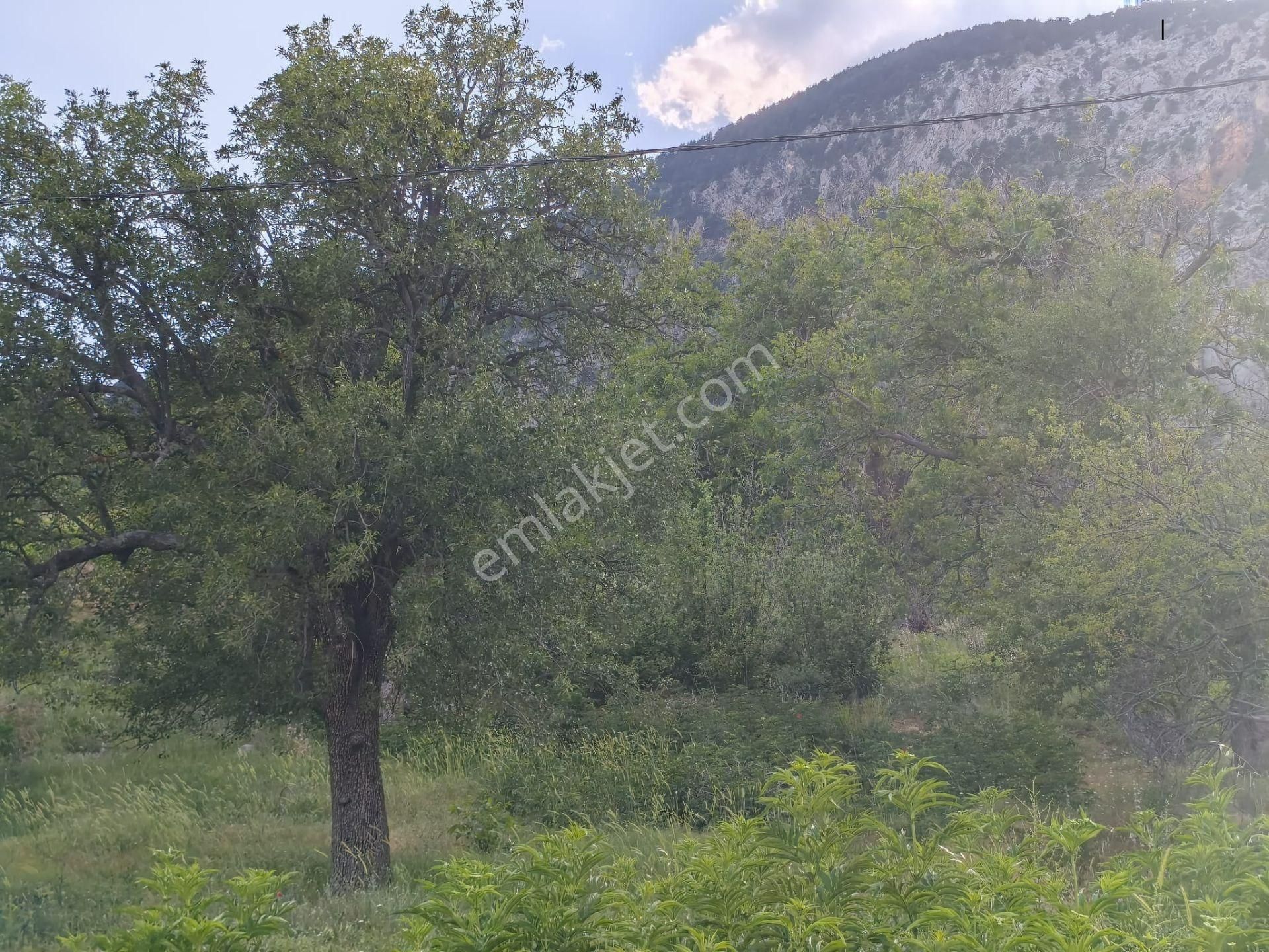 Pozantı Kar Emlaktan Akçatekir Çıralı Mevkiinde Doğa Manzaralı Satılık Yaylalık 385 M2 Arsa - Görsel 23