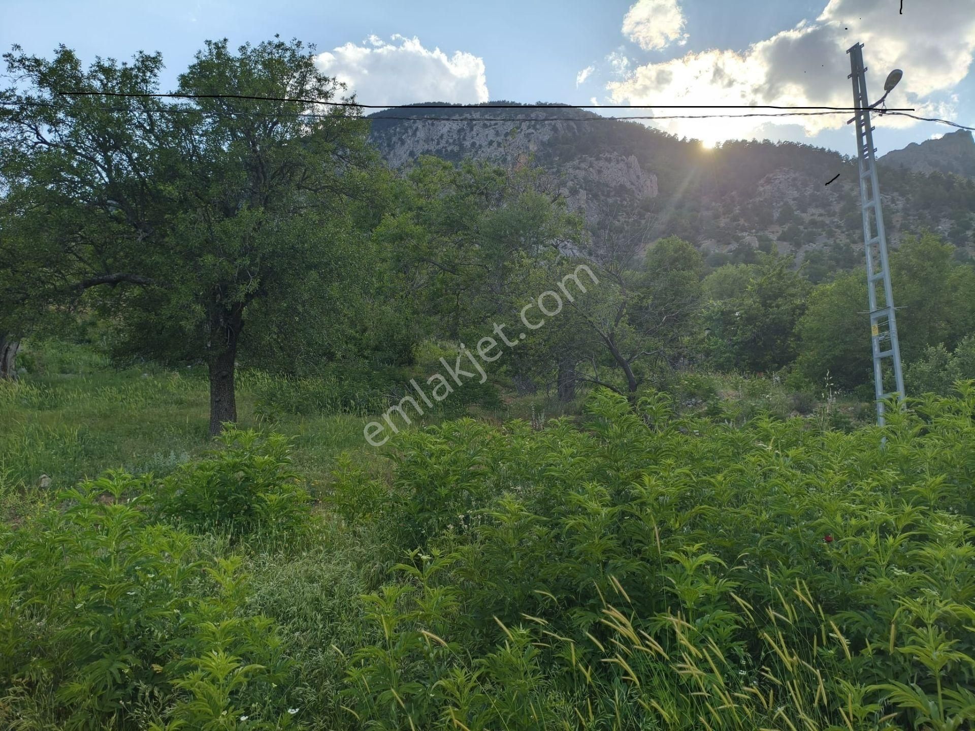 Pozantı Kar Emlaktan Akçatekir Çıralı Mevkiinde Doğa Manzaralı Satılık Yaylalık 385 M2 Arsa