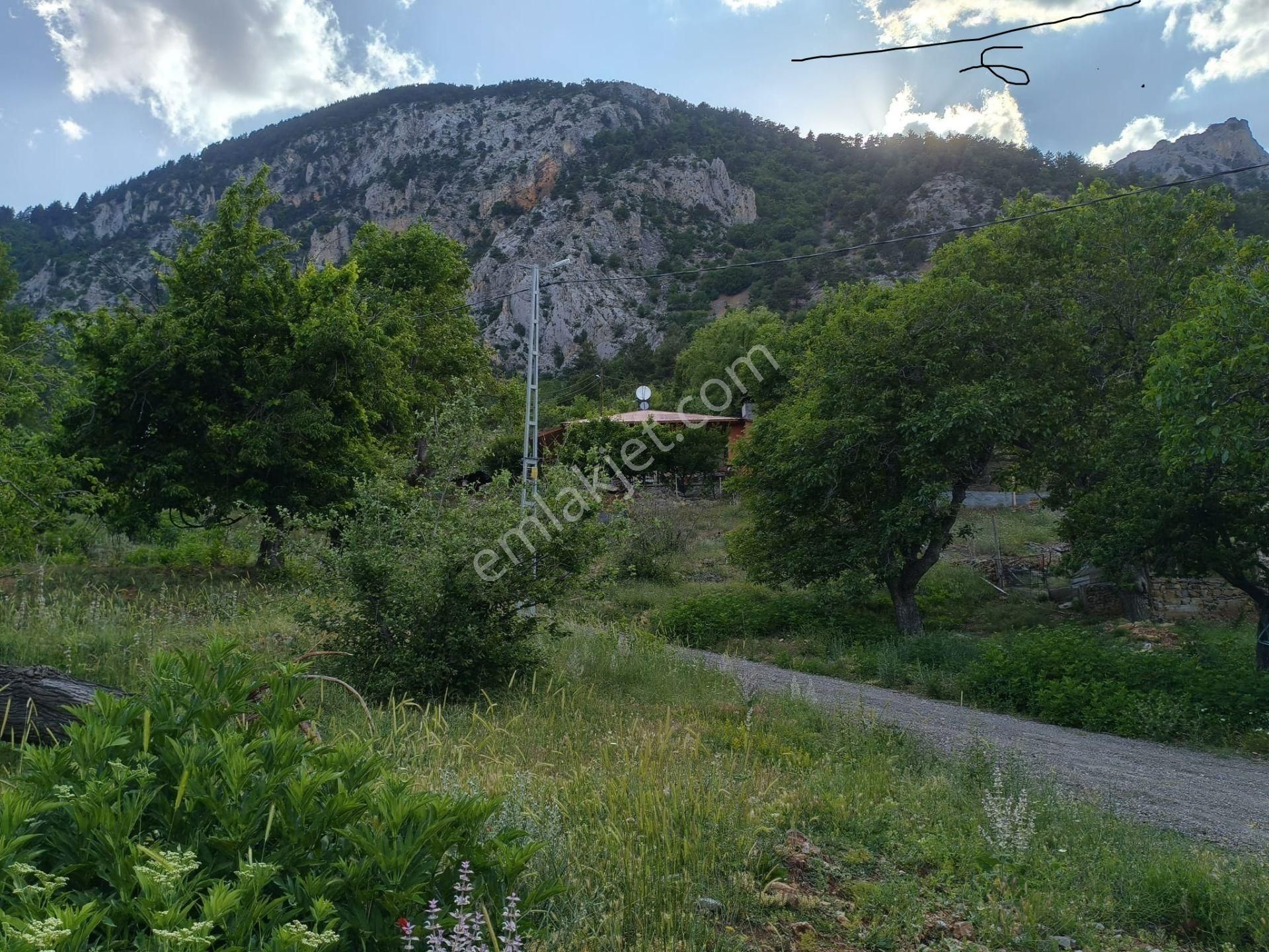 Pozantı Kar Emlaktan Akçatekir Şıhlıda Doğa Manzaralı 230 M2 Satılık Yaylalık Arsa - Görsel 6