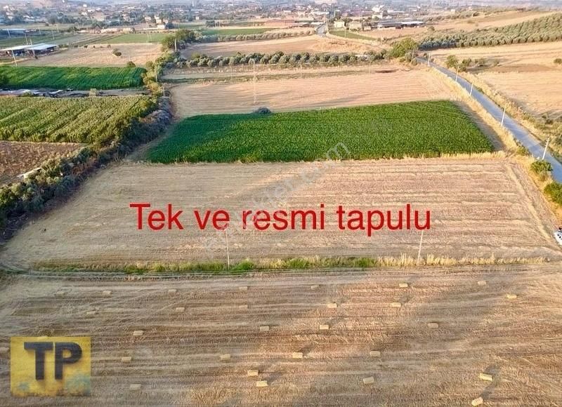 Tire Pınar Emlak Tan Süper Konumda Satılık Tarla - Görsel 8